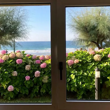 Beach House * 扎鲁亚斯